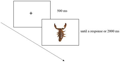 Emotions Modulate Affordances-Related Motor Responses: A Priming Experiment